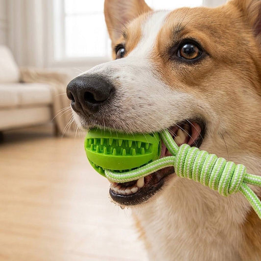 The Nuzzle Interactive Tug Rope: Ultra-Durable & Bite-Resistant
