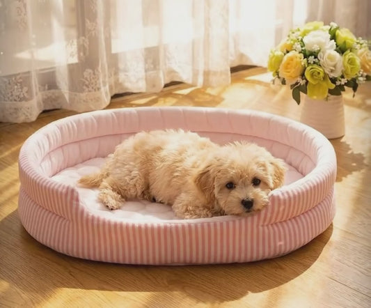 A Cool Breeze for Your Best Friend: The Nuzzle Ice Silk Mat